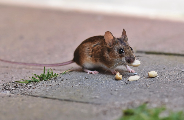띠별 운세 10월 31일