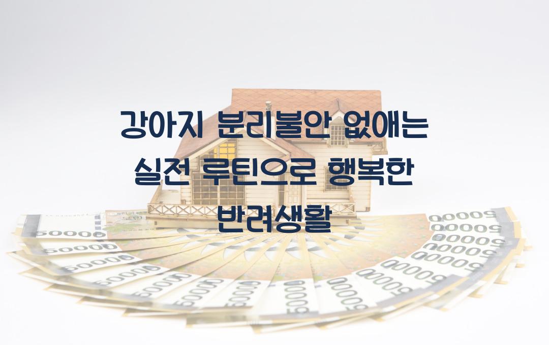 강아지 분리불안 없애는 실전 루틴