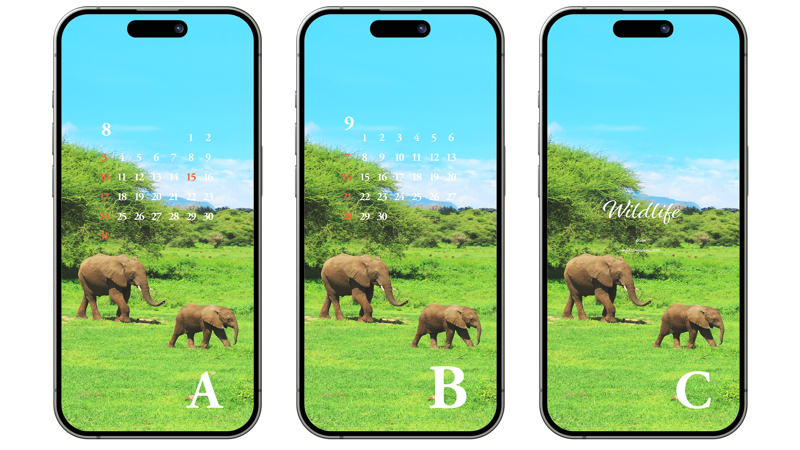 05 코끼리가족 ABC - 2025년8월 아이폰배경화면