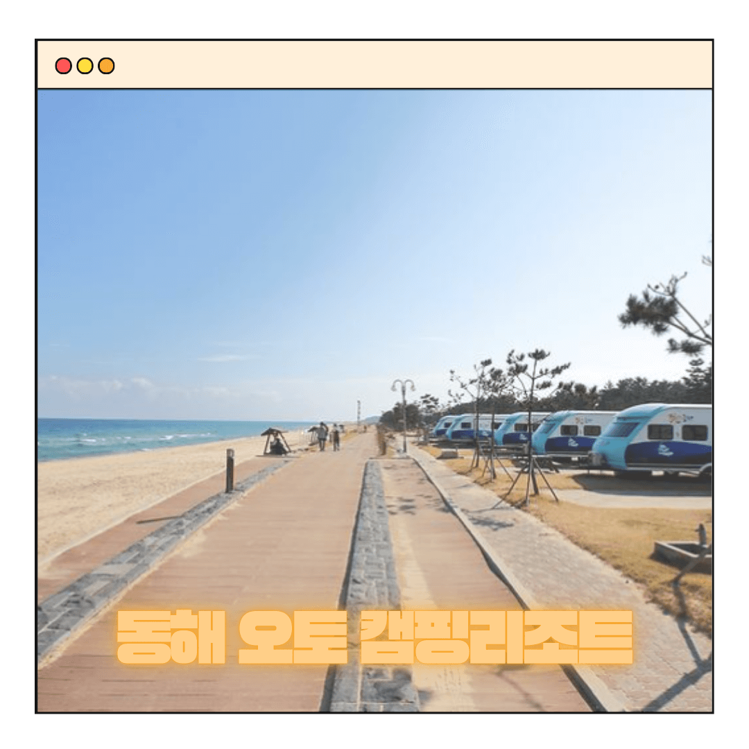 동해 캠핑장 추천 동해망상캠핑리조트