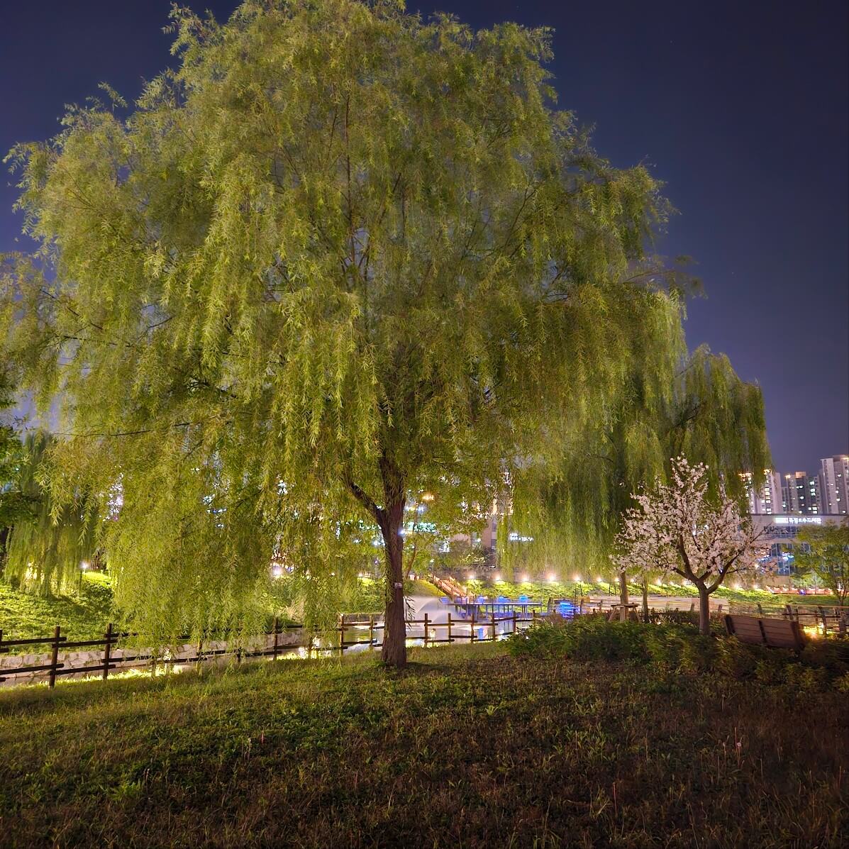옥정호수공원, 낮과 밤이 다른 도심 속 힐링 산책 코스