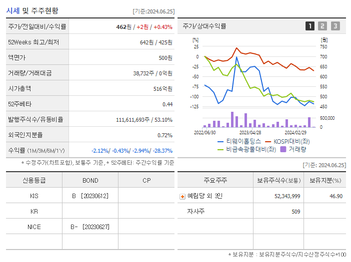 티웨이홀딩스_기업개요