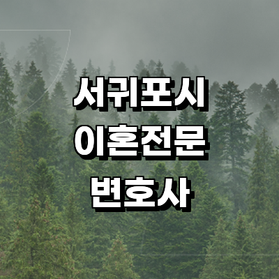 제주 서귀포시 이혼 변호사