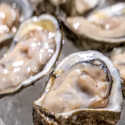 결핵-증상-결핵에-좋은-음식-건강