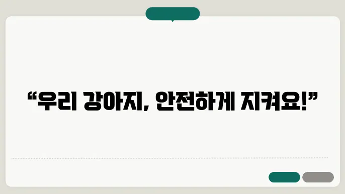 보호소의 현황 데이터