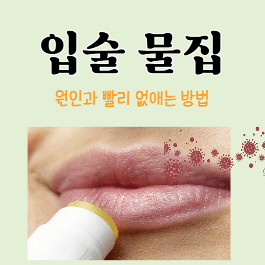입술-물질
