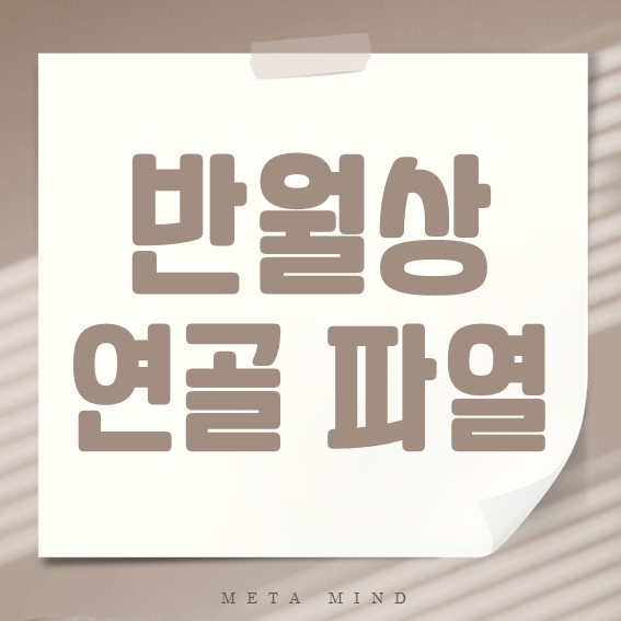 반월상 연골 파열 완전 정복: 원인, 치료, 재활 가이드