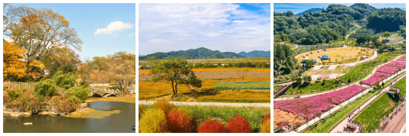 무진정, 악양생태공원 사진