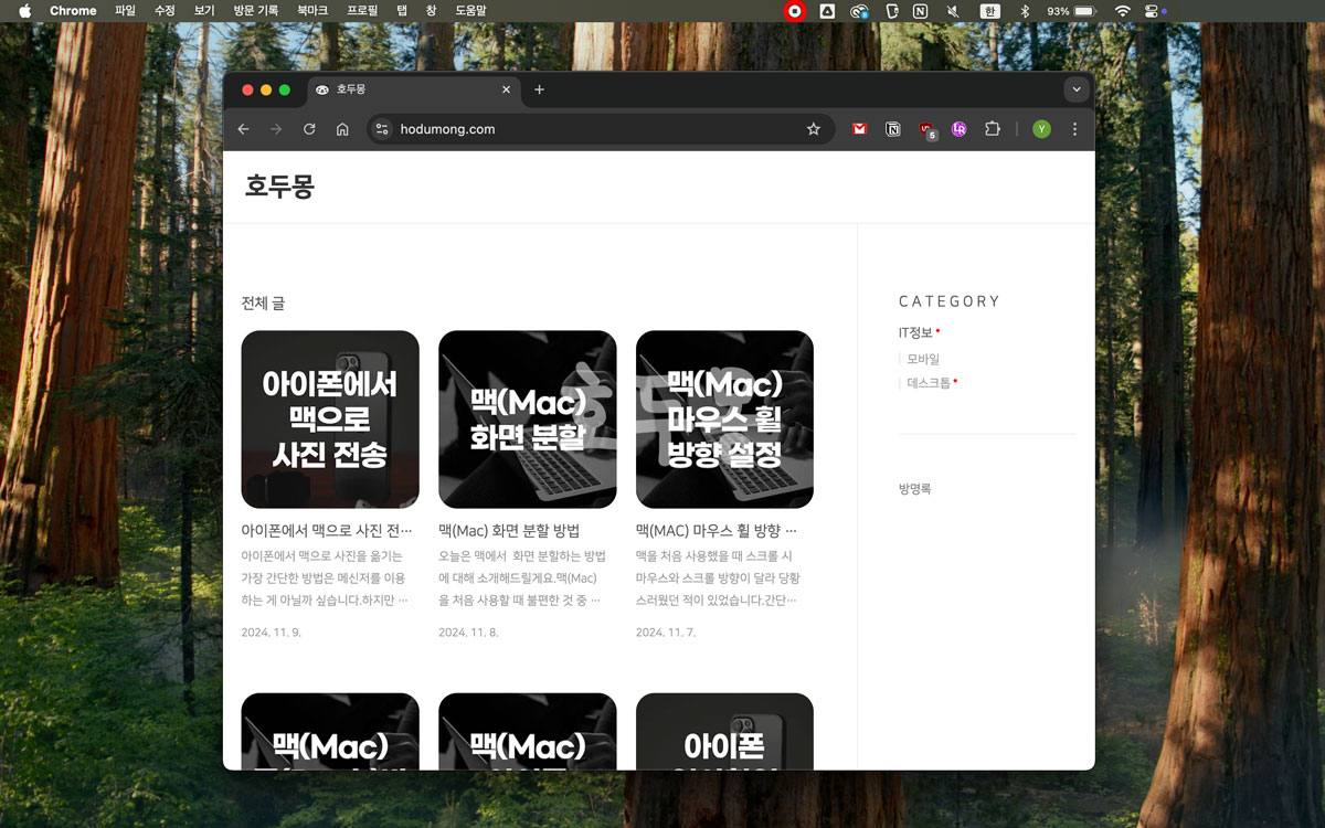 전체화면 기록