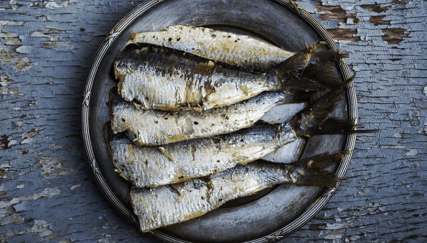 피를 맑게 해주는 음식 등 푸른 생선