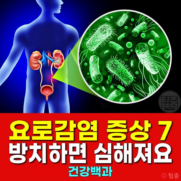 요로감염 증상