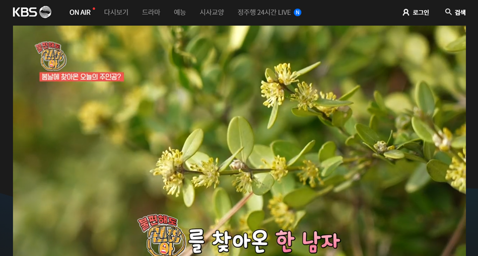 컴퓨터로 실시간 티비보기