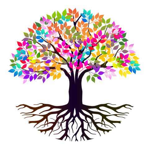 우주만물의 요소