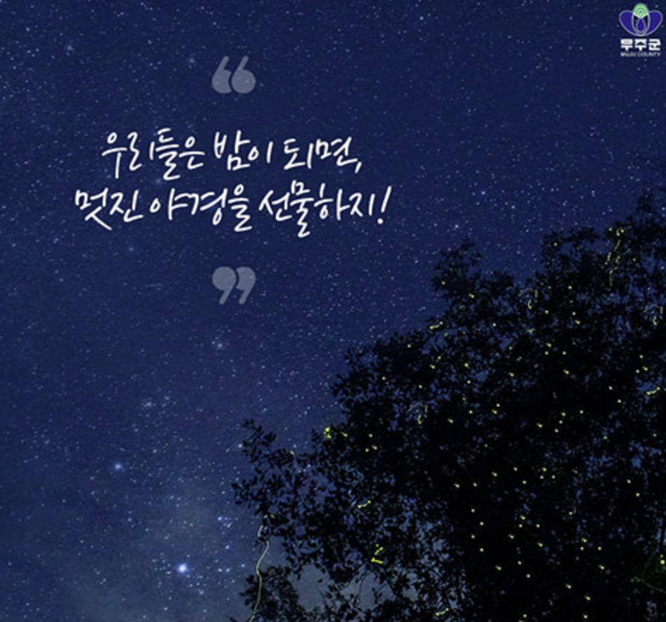 무주 반딧불축제