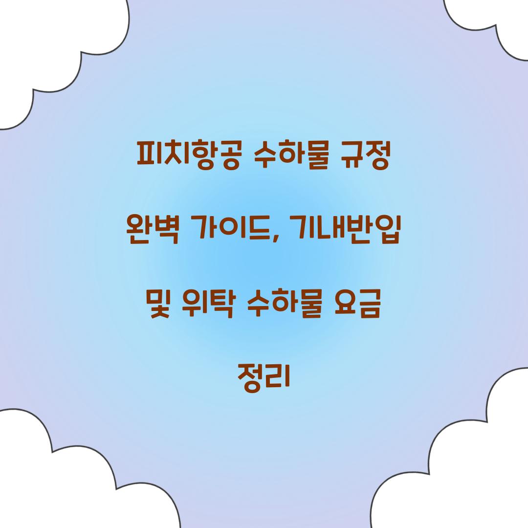 피치항공 수하물 규정
