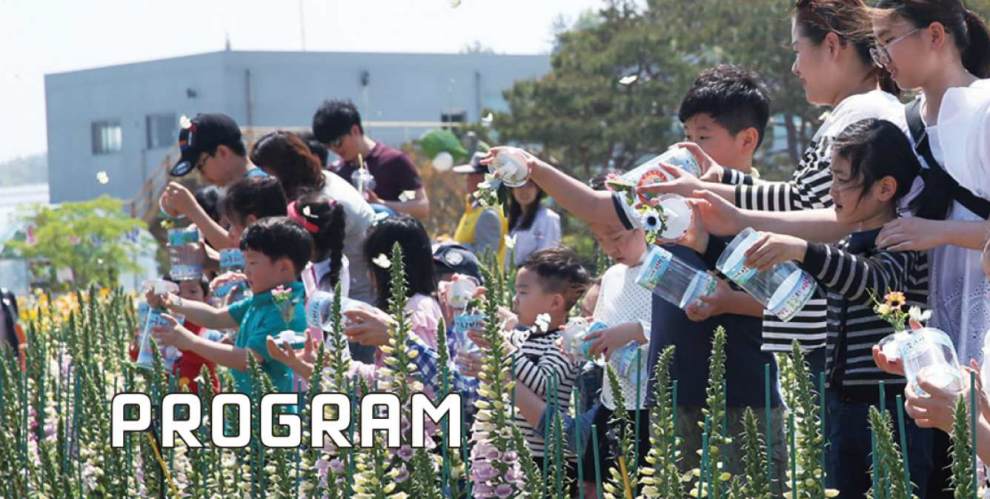 함평나비대축제