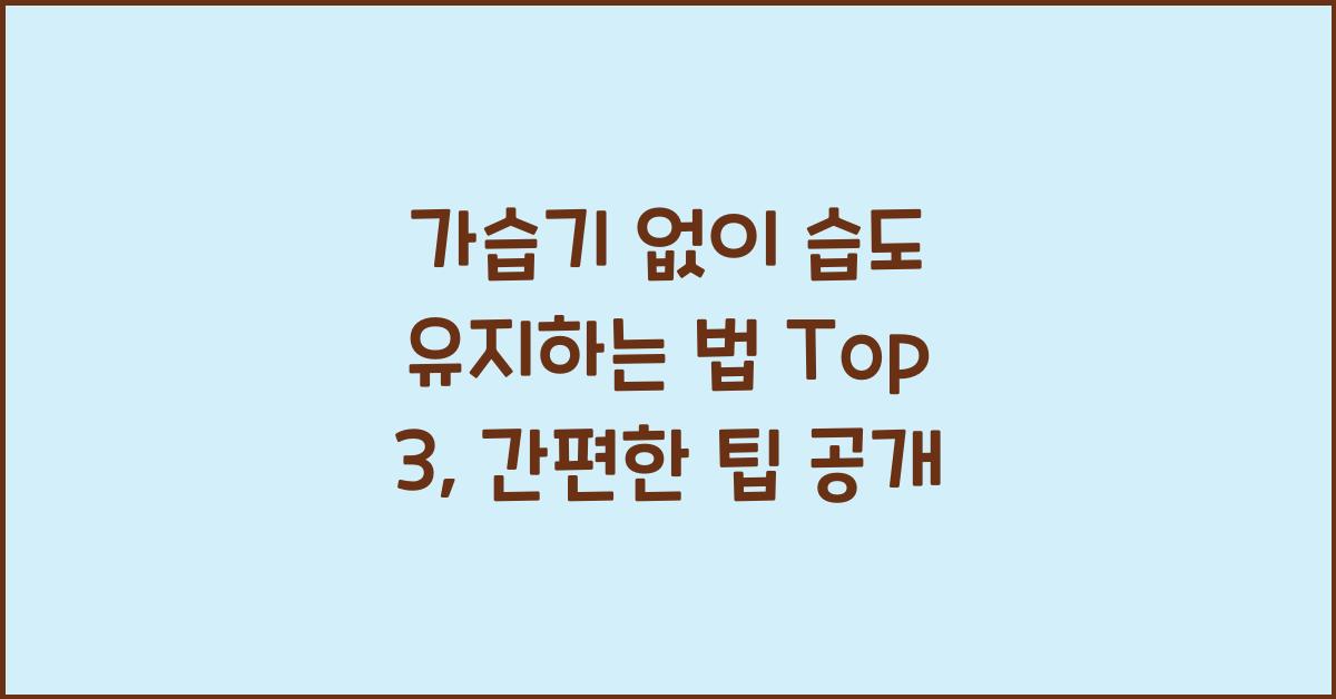 가습기 없이 습도 유지하는 법 top 3