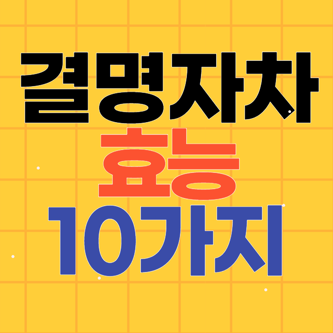 결명자차 효능 10가지