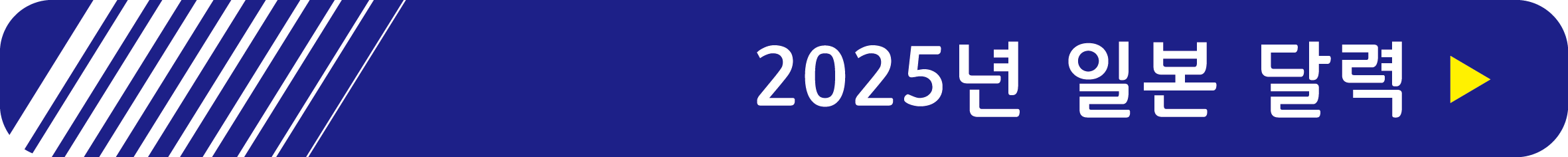 2025년 일본 달력