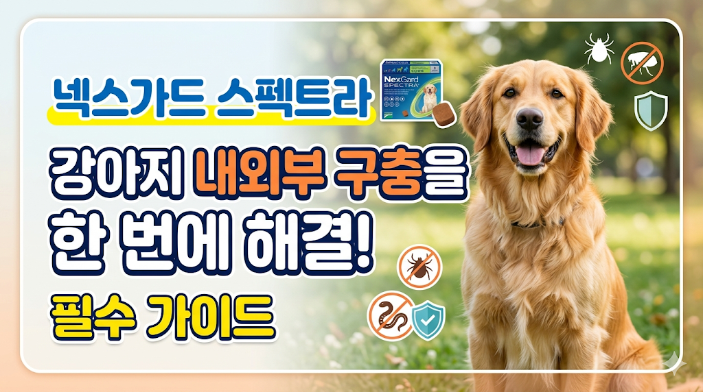넥스가드 스펙트라, 강아지 구충제, 심장사직충 약, 강아지 외부기생충, 넥스가드 스펙트라 가격, 넥스가드 스펙트라 부작용, 강아지 진드기 약, 넥스가드 판매처, 직구 vs 동물병원, 강아지 내외부구충제, 넥스가드 몸무게, 넥스가드 스펙트라 효능, 강아지 살인진드기, 강아지 회충, 강아지 구충제 먹이는법, 넥스가드 스펙트라 주의사항, 강아지 건강관리, 애견 구충제 추천, 강아지 모기약