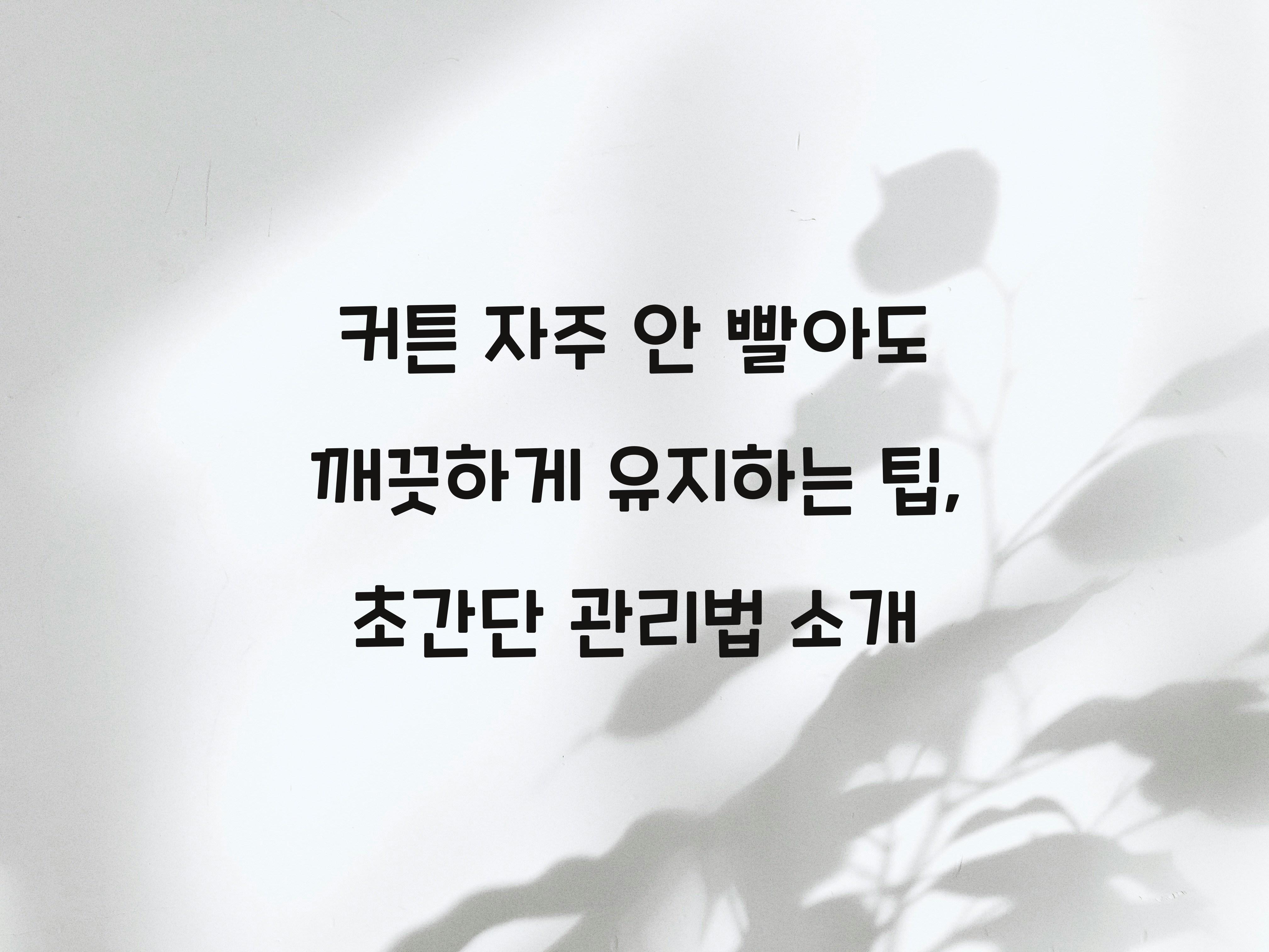 커튼 자주 안 빨아도 깨끗하게 유지하는 팁