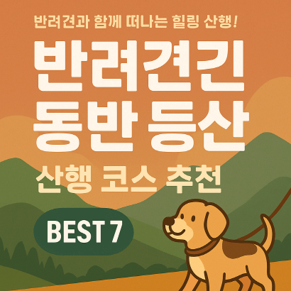 반려견과 함께 떠나는 전국 산행 명소 7선 : 강아지 동반 가능한 등산 코스 총정리