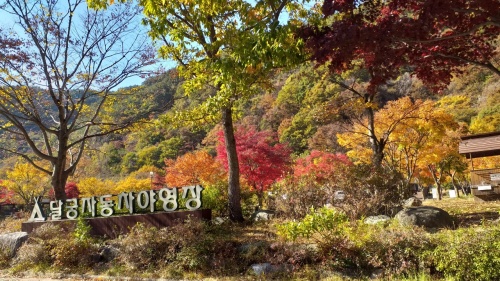 지리산_뱀사골_캠핑장