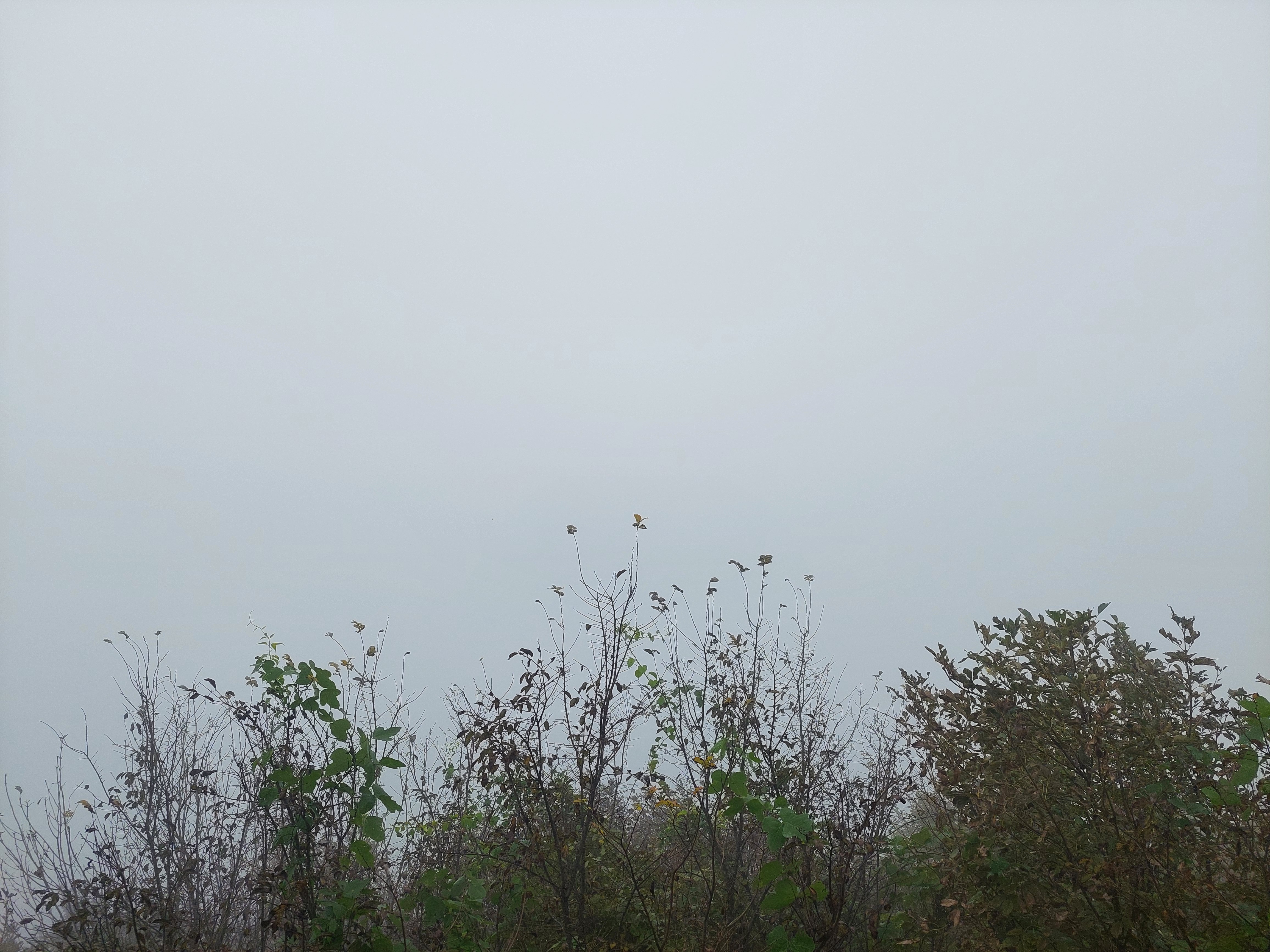 민둥산
