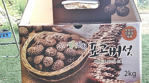 오늘N 2540회 가족이 뭐길래 드림버섯농장 표고버섯&amp;#44; 노루궁뎅이버섯&amp;#44; 녹각영지버섯까지 건강한 먹거리 주문방법