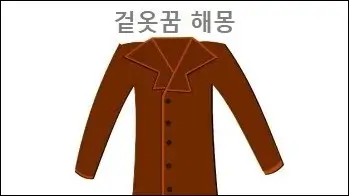 겉옷꿈 해몽