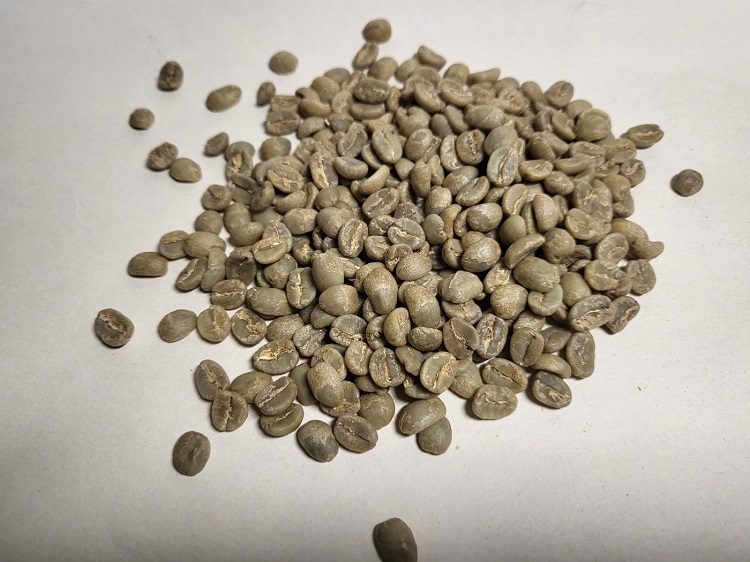 [역사 속 커피 이야기] 인도의 문익점 '바바 브단Baba Budan'