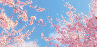 쿠팡 고객센터 전화번호 바로가기