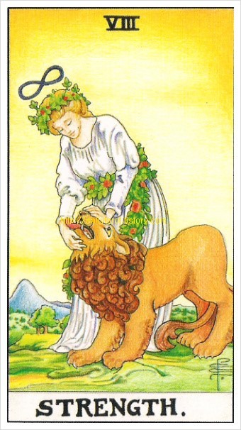 타로카드 8번 힘 관련 사진