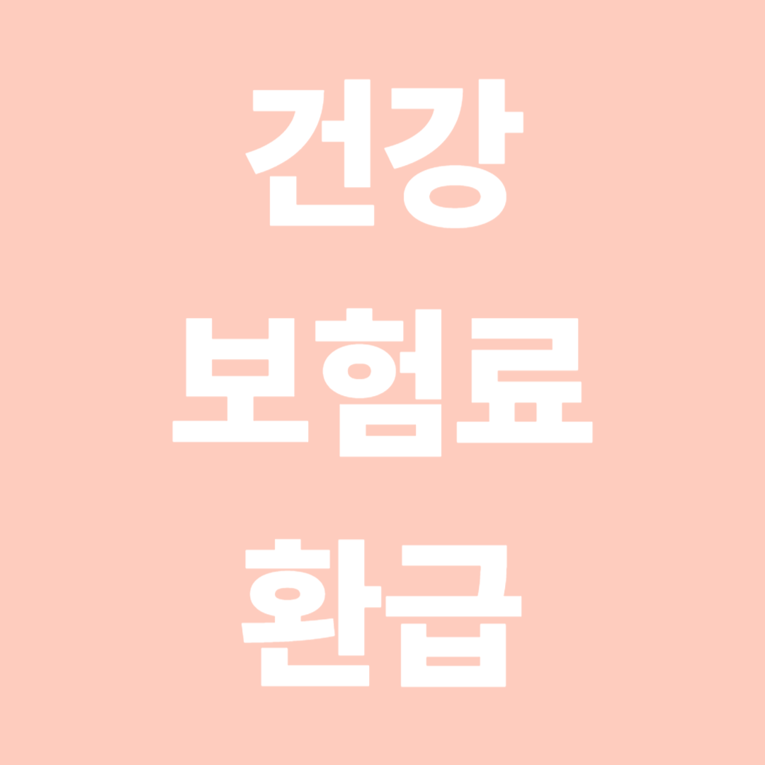 건강보험료 조회&amp;환금