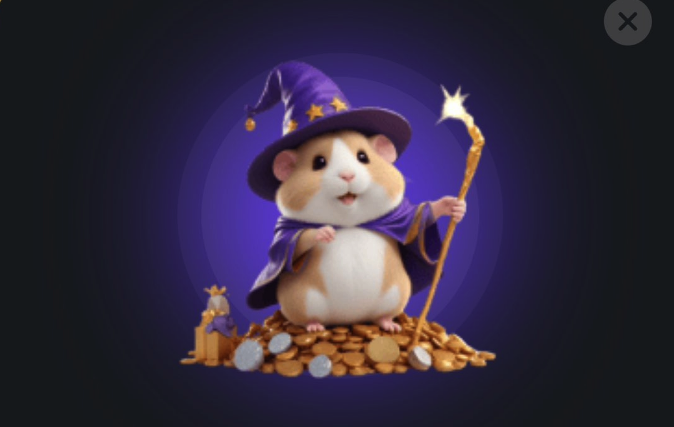 햄스터 컴뱃 모스부호 콤보 정답