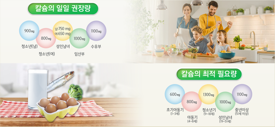 칼슘 일일 권장량 및 최적 필요량