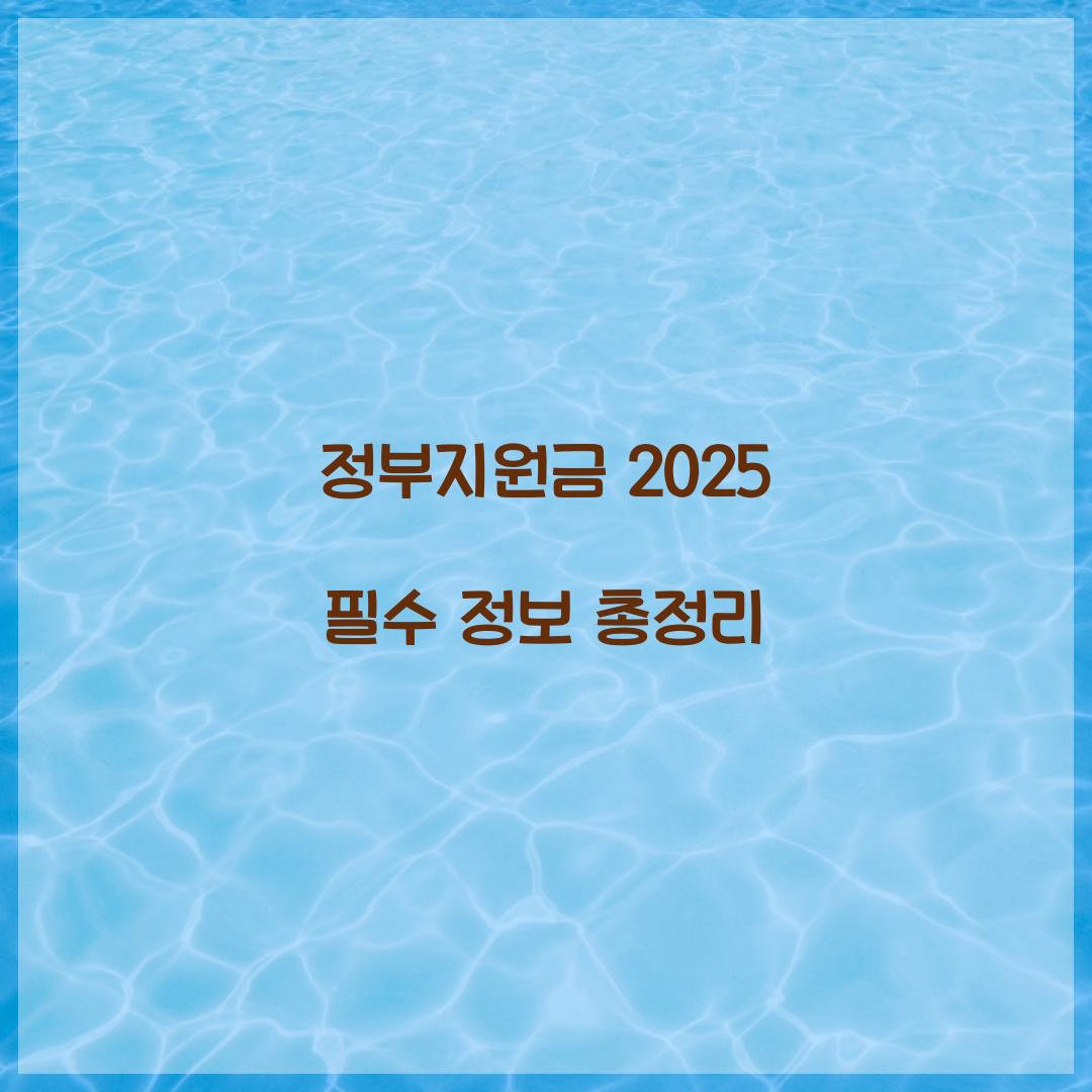 정부지원금 2025