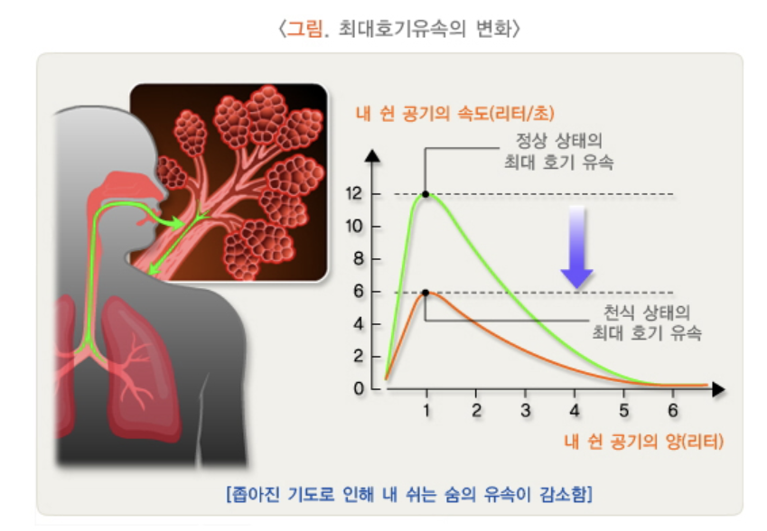 최대 호기 검사