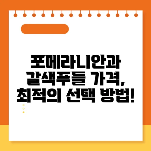 포메라니안과 갈색푸들 가격, 최적의 선택 방법!