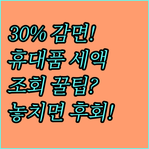 휴대품 예상 세액 조회 시스템으로 3..