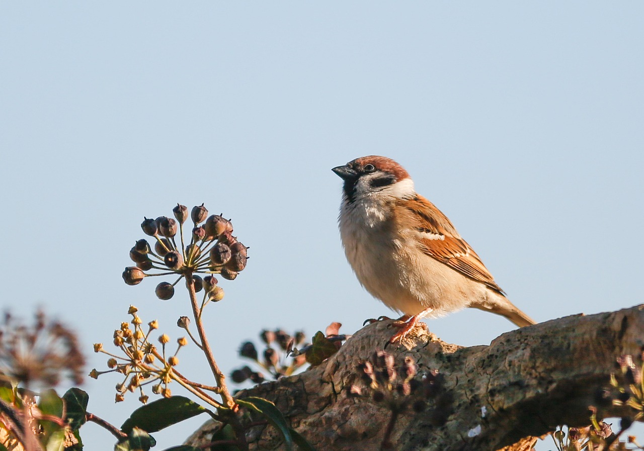 문화누리카드, 발급방법, 자동충전시스템, 할인가맹점 문화누리카드-발급방법-자동충전시스템-할인가맹점