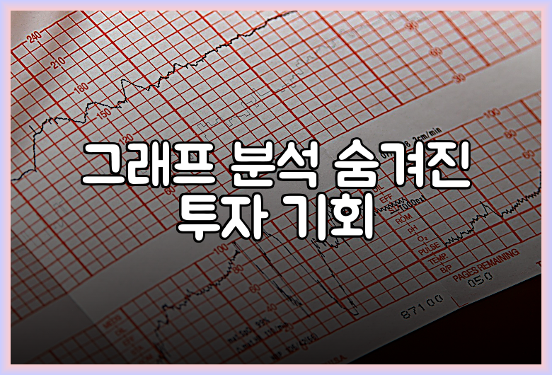 그래프 분석 숨겨진 투자 기회