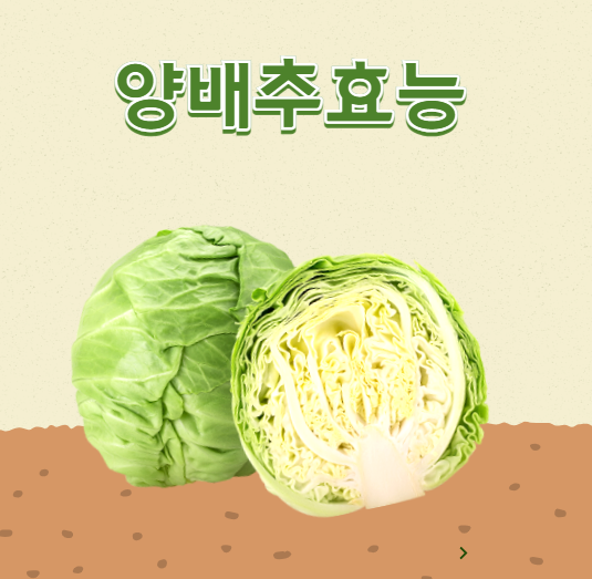 양배추 효능