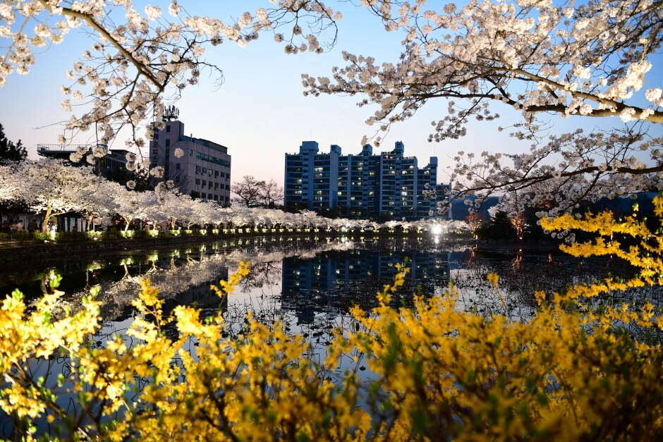 교동-연화지
