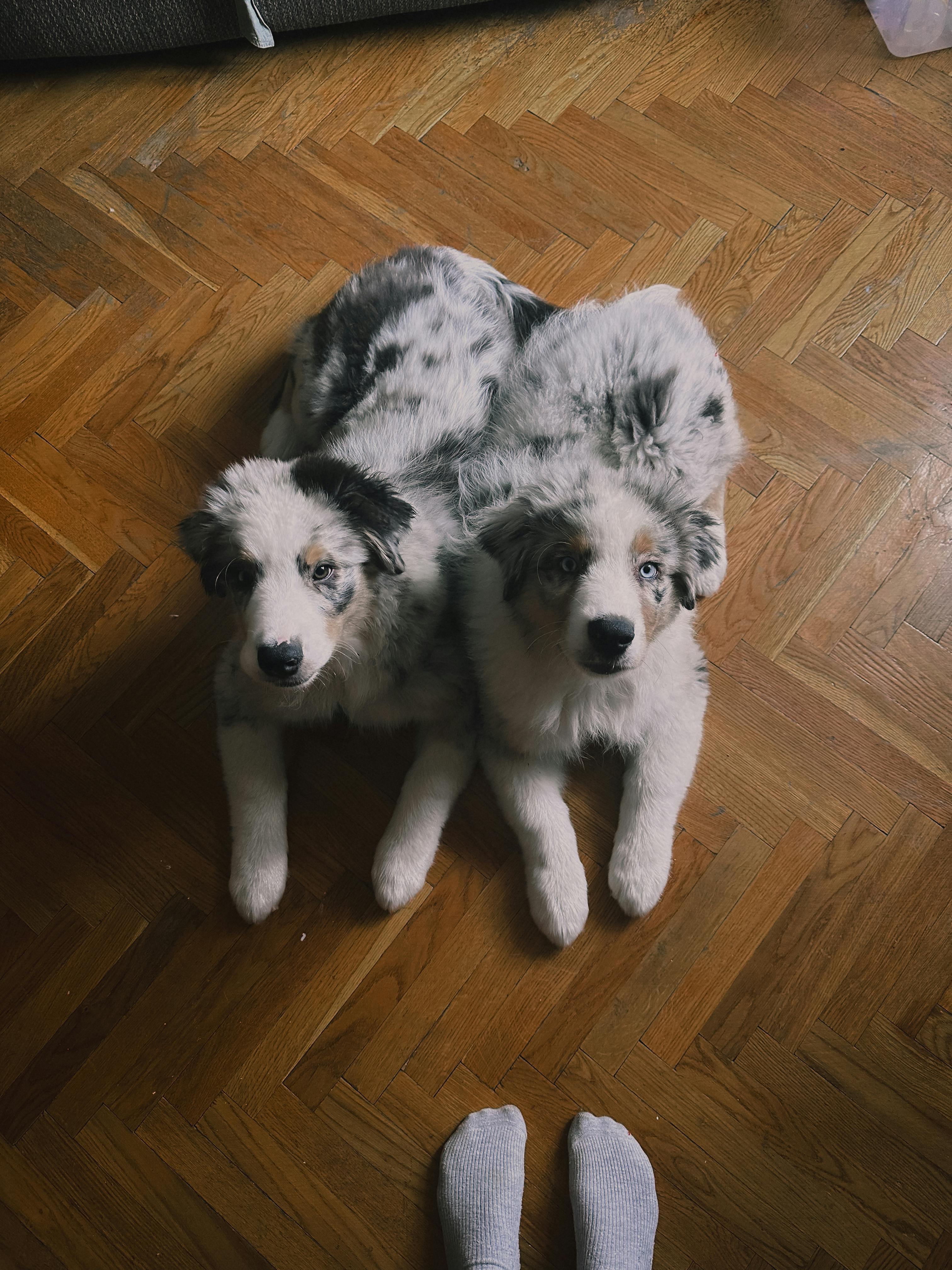 전현무 계획2 배우 이병준 프로필&amp;#44; 나이&amp;#44; 집&amp;#44; 결혼&amp;#44; 작품