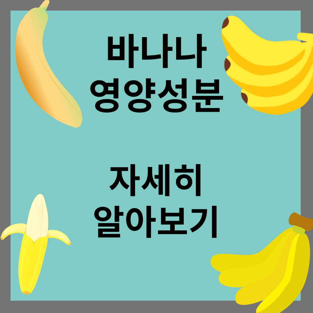 바나나 영양성분
