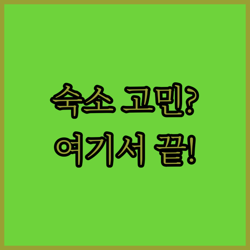 아리산 여행 숙소 고민 끝! 가격, 