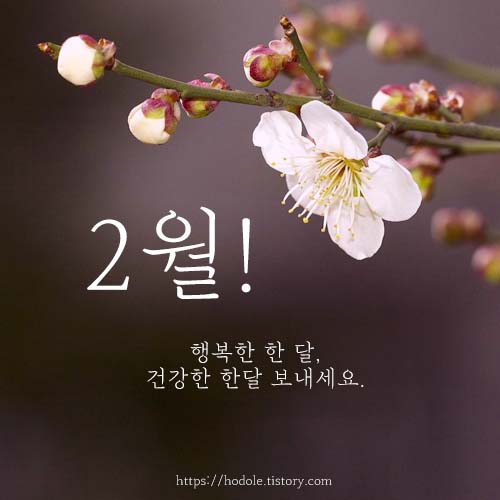 2월-인사말-이미지