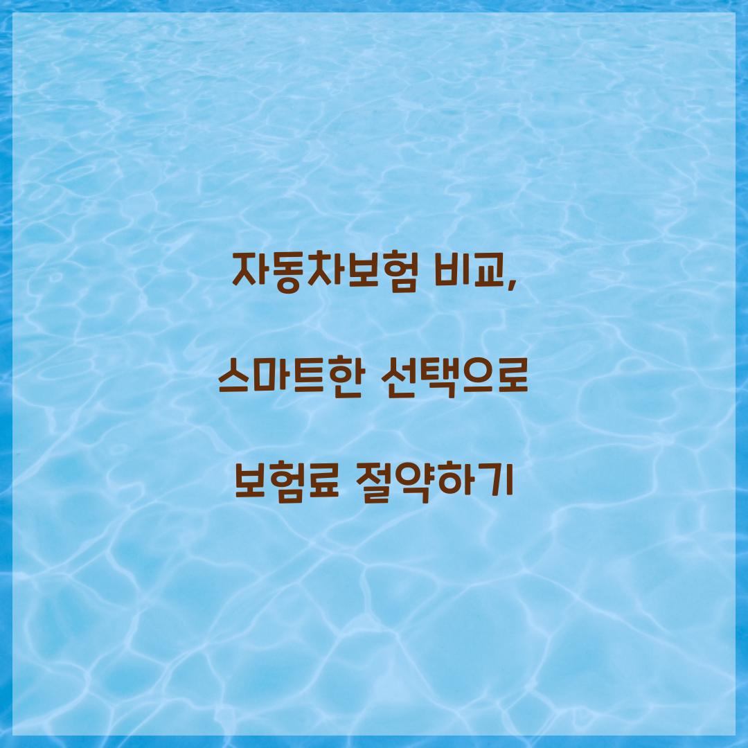 자동차보험 비교