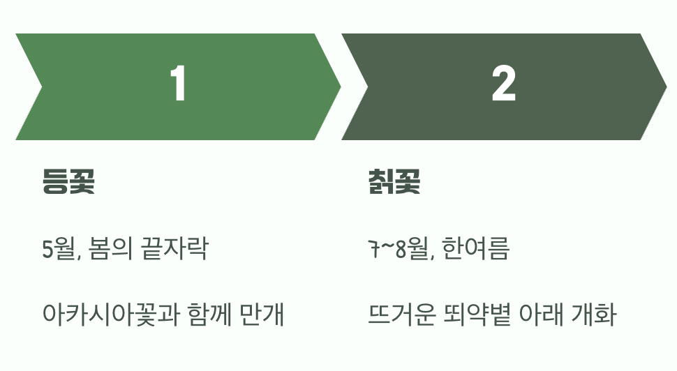 피어나는 계절이 달라요